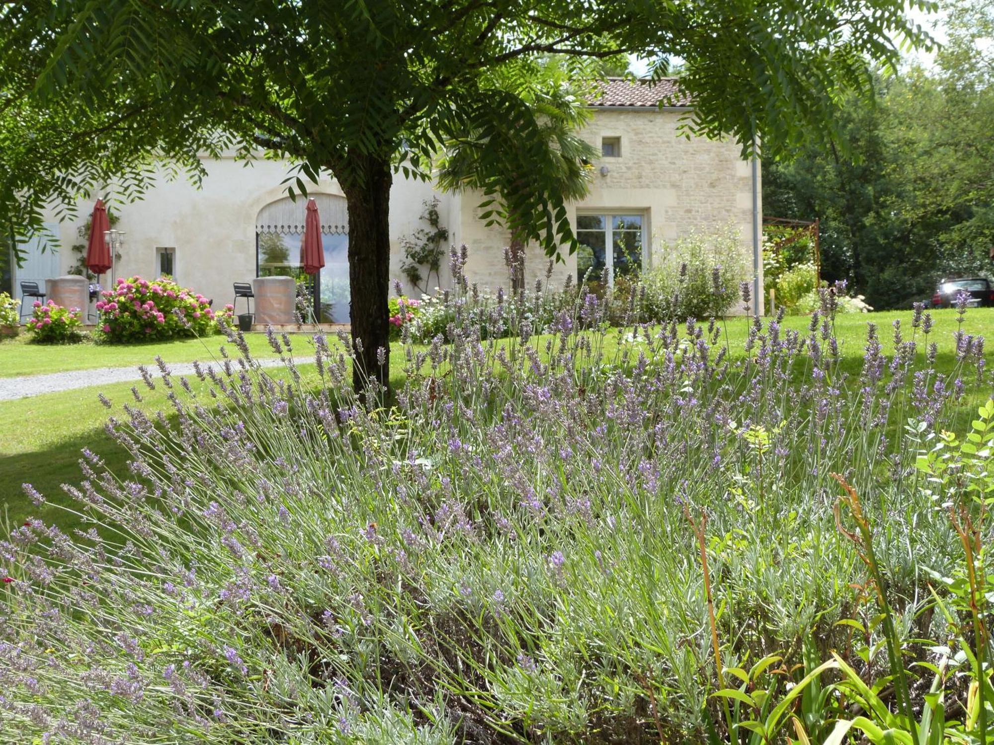 Le Logis De La Brumanderie - Saintes Fontcouverte  Экстерьер фото